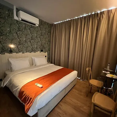 Demelenne Отель 3*