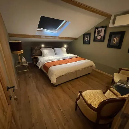 Hotel Maison Demelenne 3*